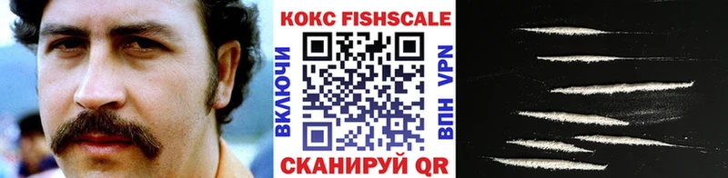 Купить  Суджа  COCAIN 97% 