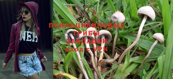 гидра Сатка