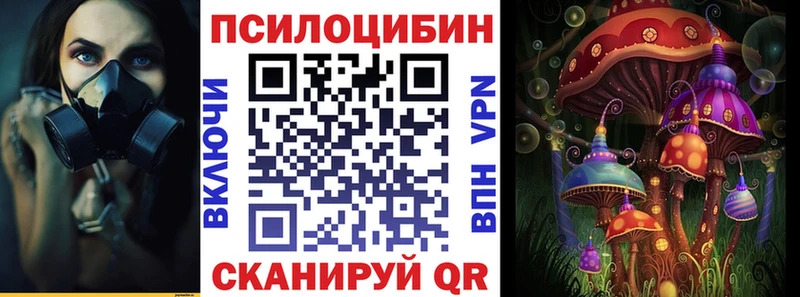 Купить  Суджа  Псилоцибиновые грибы MAGIC MUSHROOMS 